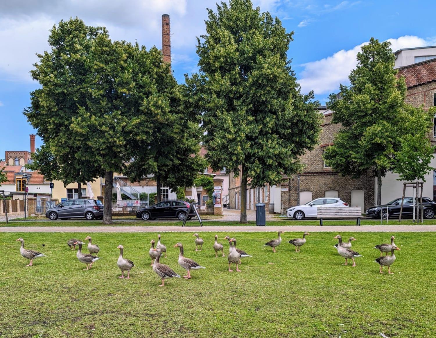 Lendelhaus & Historische Saftfabrik Werder Apartment Werder  Bagian luar foto